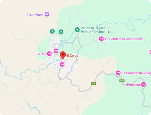 Ubicacion Restaurante